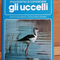 Libro degli uccelli