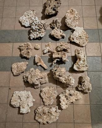 Rocce vive naturali per acquario marino reef