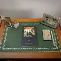 Come piante tra i sassi di Mariolina Venezia