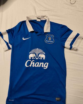 Everton home vintage football Shirt 2012/2013 Nike