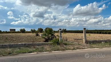 Terreno Agricolo