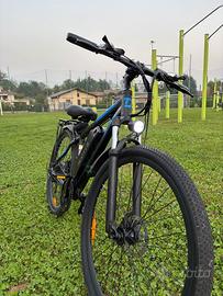 Bicicletta Elettrica Adulti