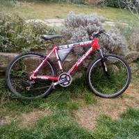 bicicletta ragazzo