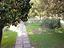 Immagine 21