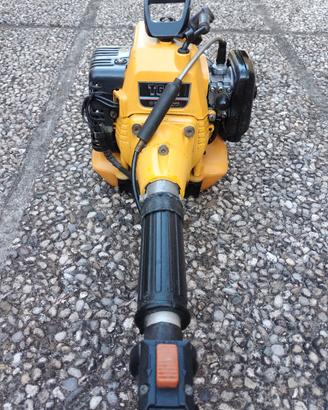 Decespugliatore Kawasaki TG24 