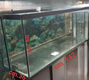 acquario 350 Litri 