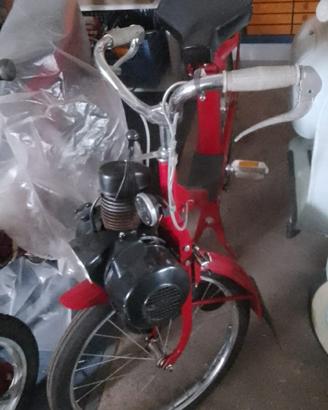 velosolex 