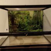 Terrario rettili vetro 