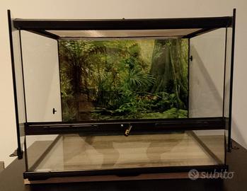 Terrario rettili vetro 