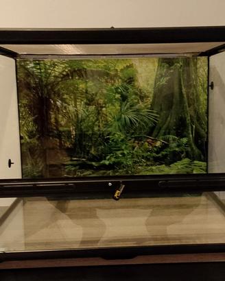 Terrario rettili vetro 