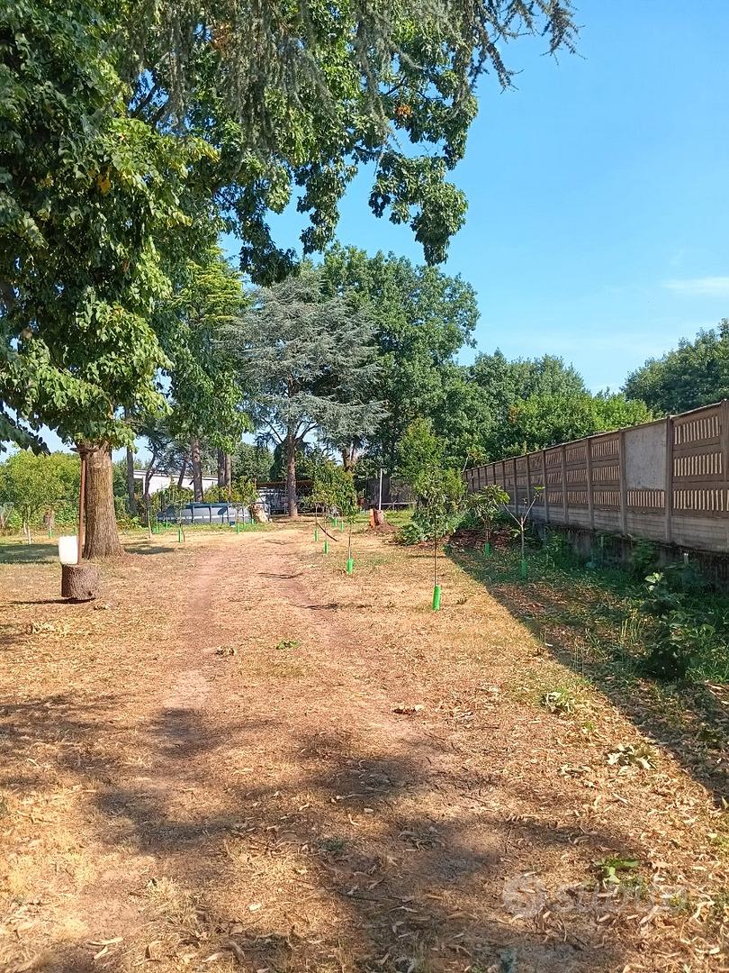 Terreno agricolo recintato con acqua potabile - Vista 3