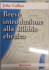 Breve introduzione alla Bibbia ebraica