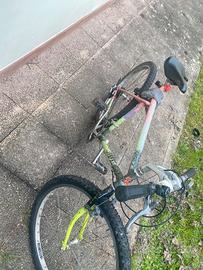 Mountain bike A-53
