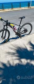 Mtb scapin