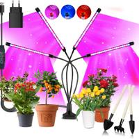Lampada Piante Coltivazione