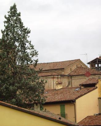 Singola per lavoratrice a Imola
