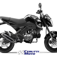 Scarico Leovince GP CORSA MATTE Kawasaki Z125 2017