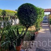 Villetta a schiera 280mq a Mascali