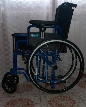 sedia a rotelle 