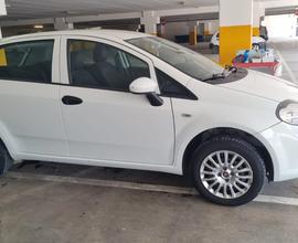 FIAT Punto 4ª serie - 2017
