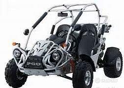 BUGRIDER 250
