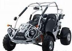 BUGRIDER 250