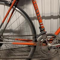 Bicicletta torpado