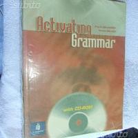 Activating grammar isbn 9780582818187
