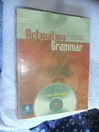 Activating grammar isbn 9780582818187