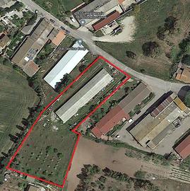 Capannone indipendente con area di pertinenza