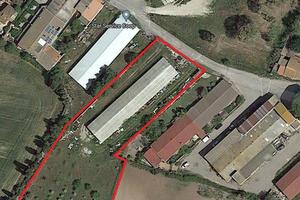Capannone indipendente con area di pertinenza