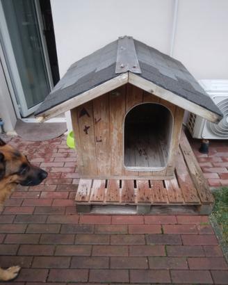 cuccia per cani