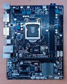 Scheda Madre Micro ATX - Gigabyte GA-H81M-D2W