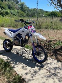 Pit Bike Ncx 125