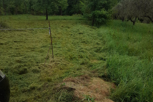 T.e.r.r.e.n.o. d.a. f.a.v.o.l.a