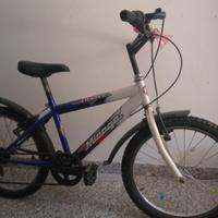 Bicicletta 20 "