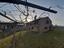 Immagine 7