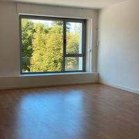 LOCALE - STUDIO - UFFICIO 40 mq GUALDO TADINO