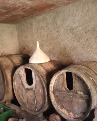 N°3 botti in legno