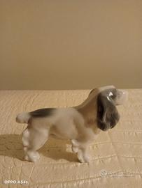 Cocker Spaniel inglese Metzler e Ortloff Germania