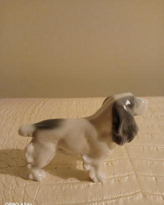 Cocker Spaniel inglese Metzler e Ortloff Germania