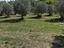 Immagine 11