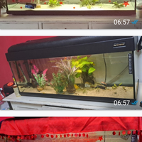 Acquario 100 litri COMPLETO