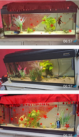 Acquario 100 litri COMPLETO