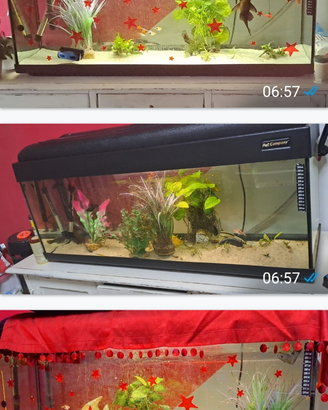 Acquario 100 litri COMPLETO