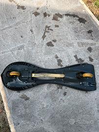 Skateboard 2 ruote
