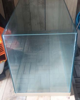 Acquario
