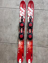 Sciotti bigfoot