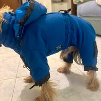 Giubbotto da cane Dog’s Zone