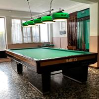 Biliardo Professionale Hartes